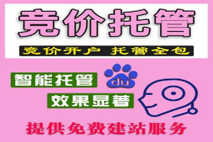 百度竞价排名优化技巧与成功案例分享